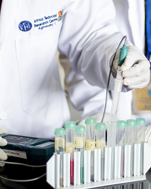 Research & Development (R & D)