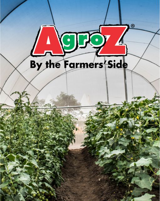 Agriculture Products